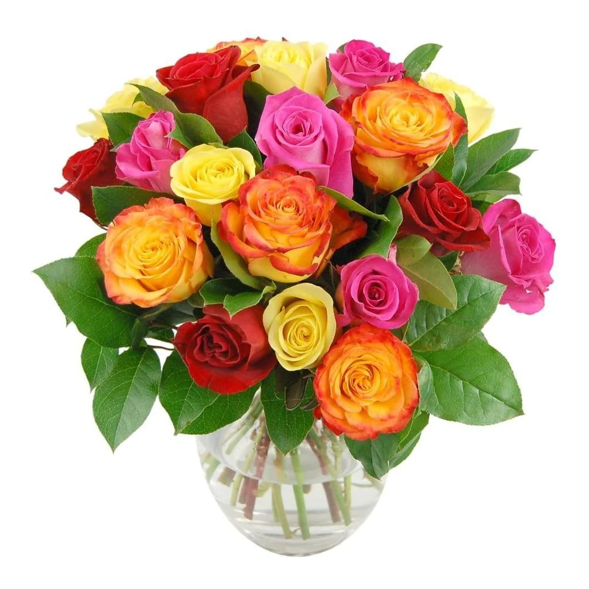 Prisme des Roses