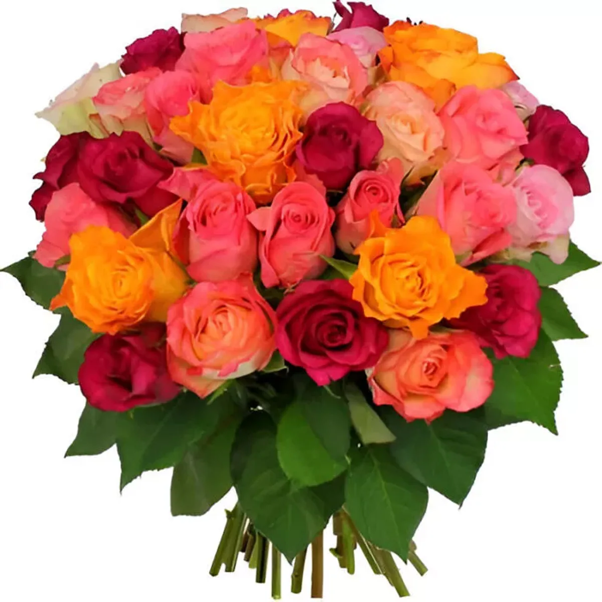 Fête des Roses