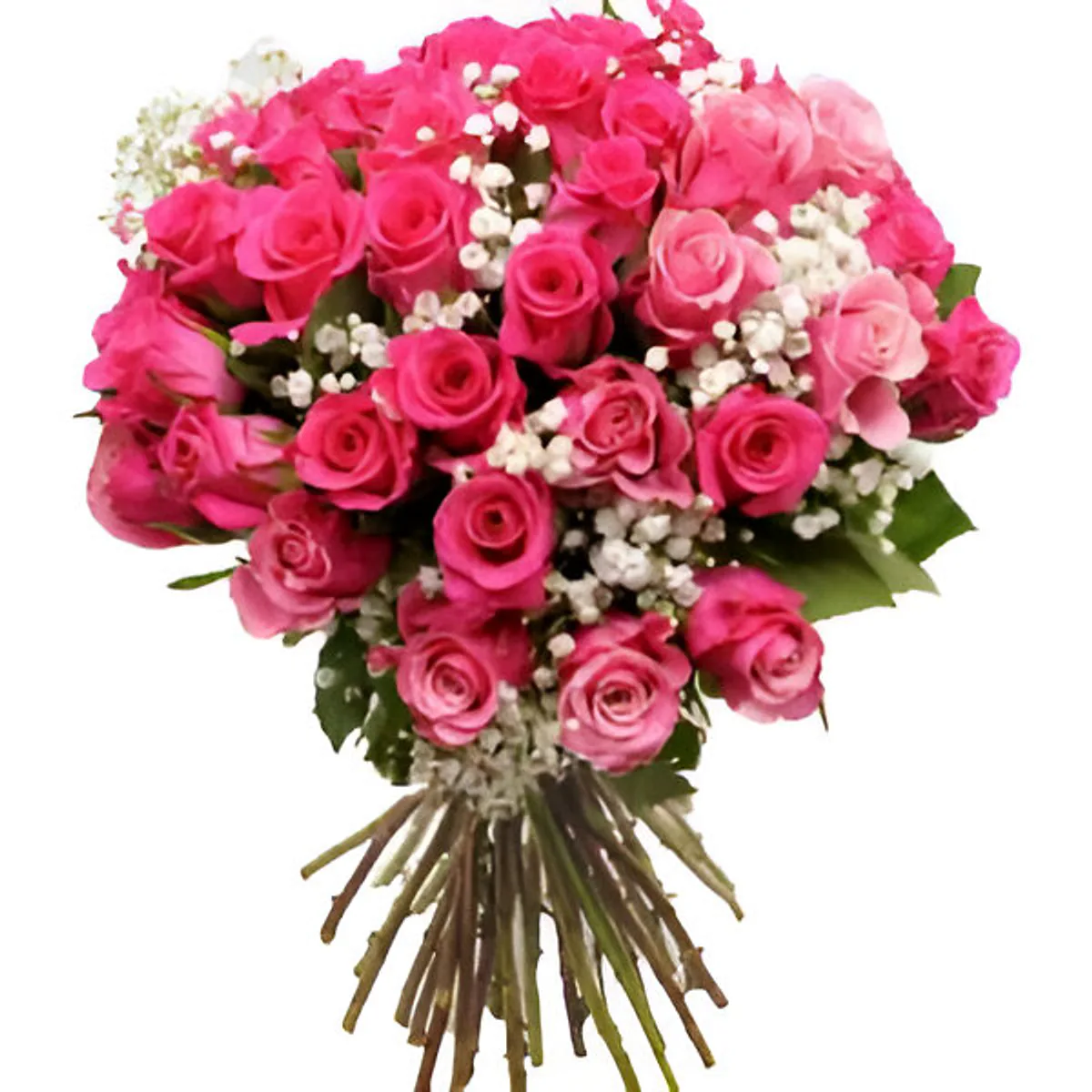 Mélodie Florale